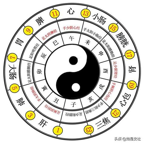 易經是什麼|易經入門：太極、兩儀、四象、八卦是什麼意思？